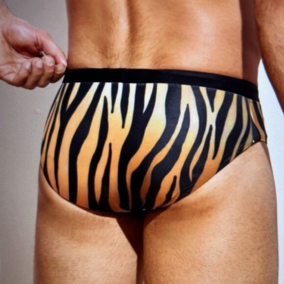 Brand New Men Random Zebra Striped Drawstring Waist Swim Brief L/40 - Picture 3 of 4